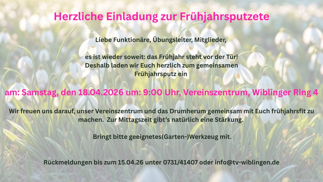 Beachvolleyball Wiblingen